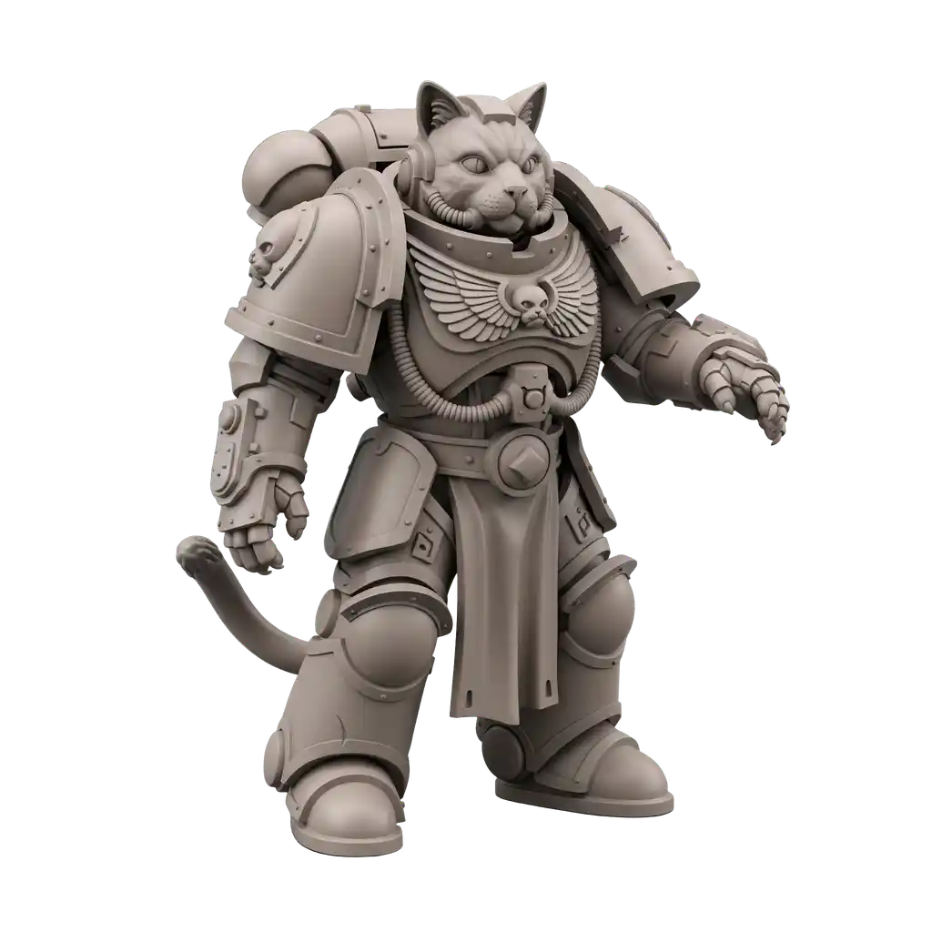 space marine cat