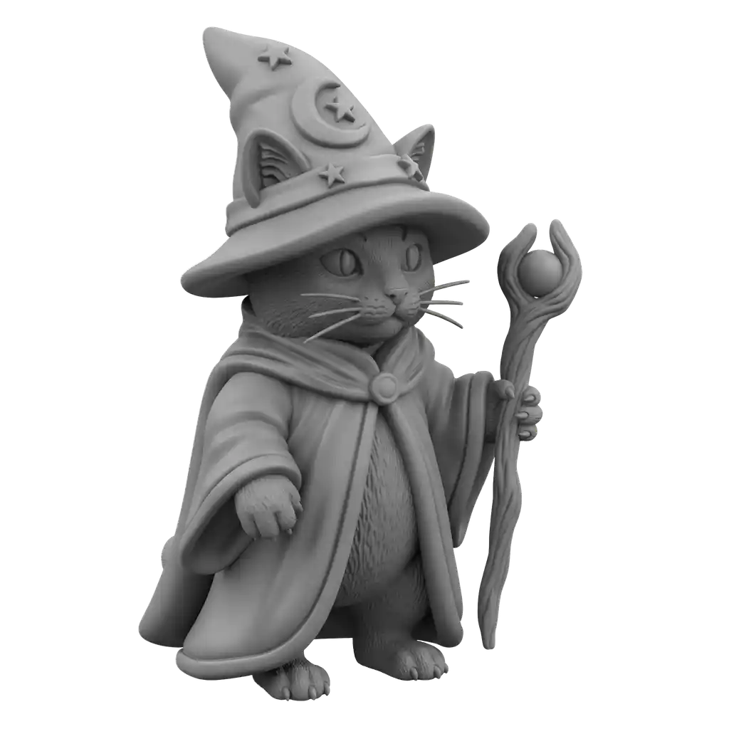 wizard cat
