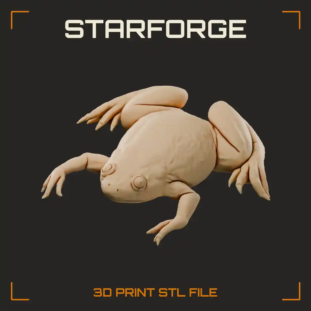 African Clawed Frog Top View With Flat Body Webbed Feet And Small Eyes