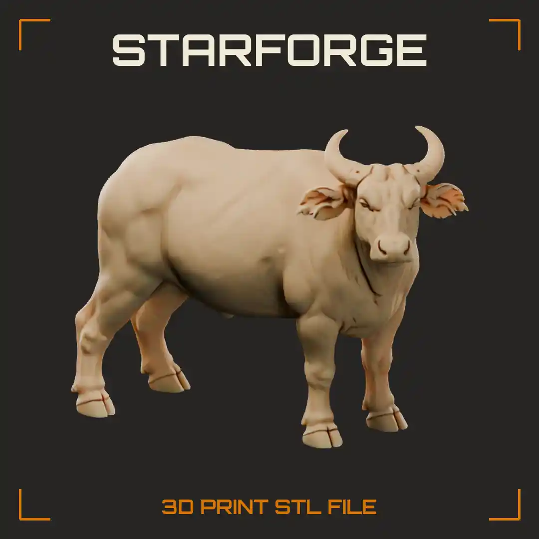 African Forest Buffalo Standing with Swept Back Horns and Tufted Fringed Ears