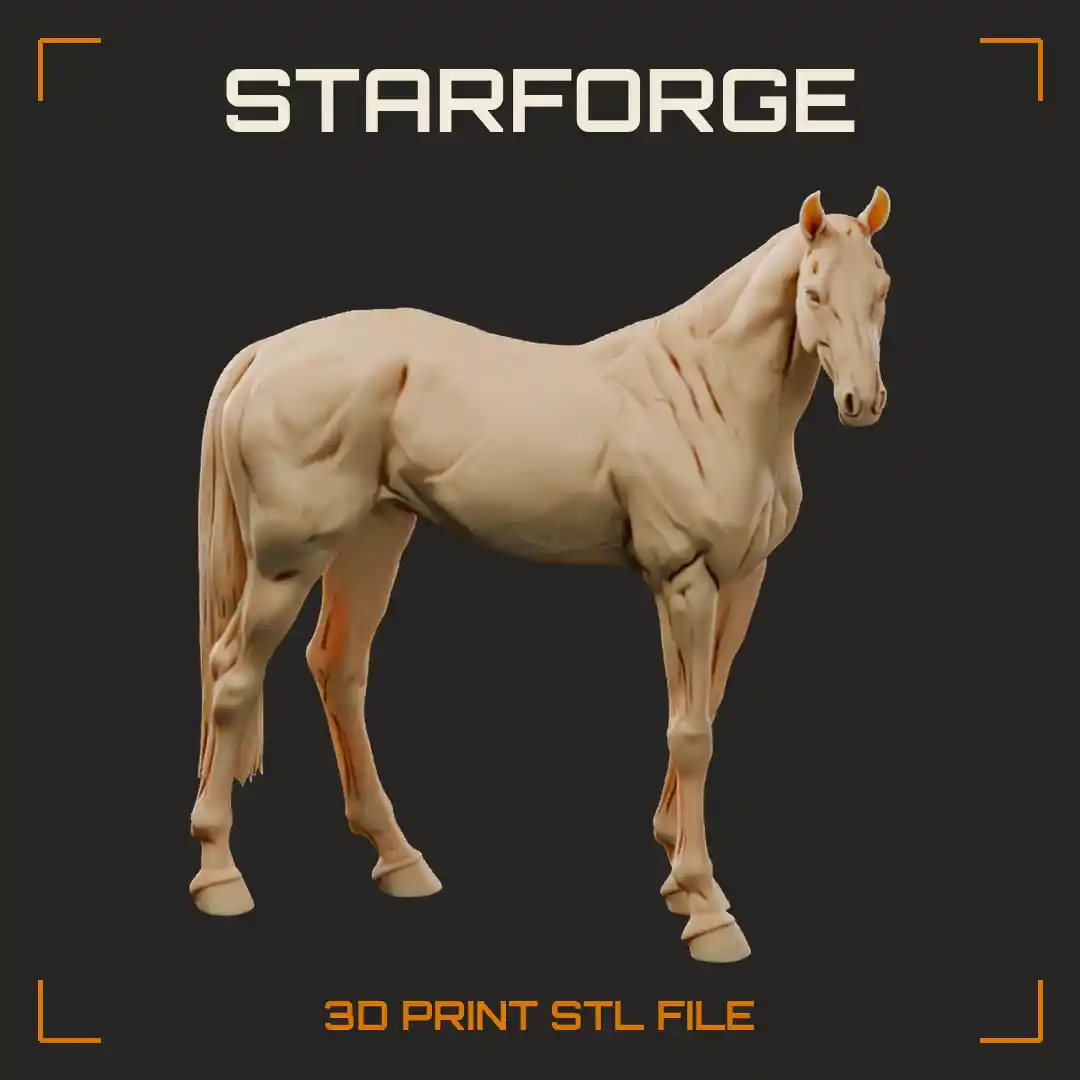 Akhal Teke Horse Standing with Lean Greyhound Body Long Neck Fine Head and Thin Mane
