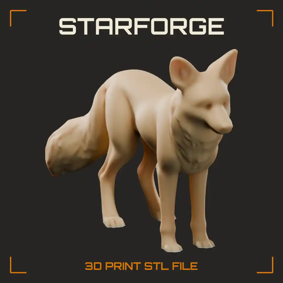 Alert Standing Fox with Large Pointed Ears Bushy Tail and Fluffy Neck Ruff
