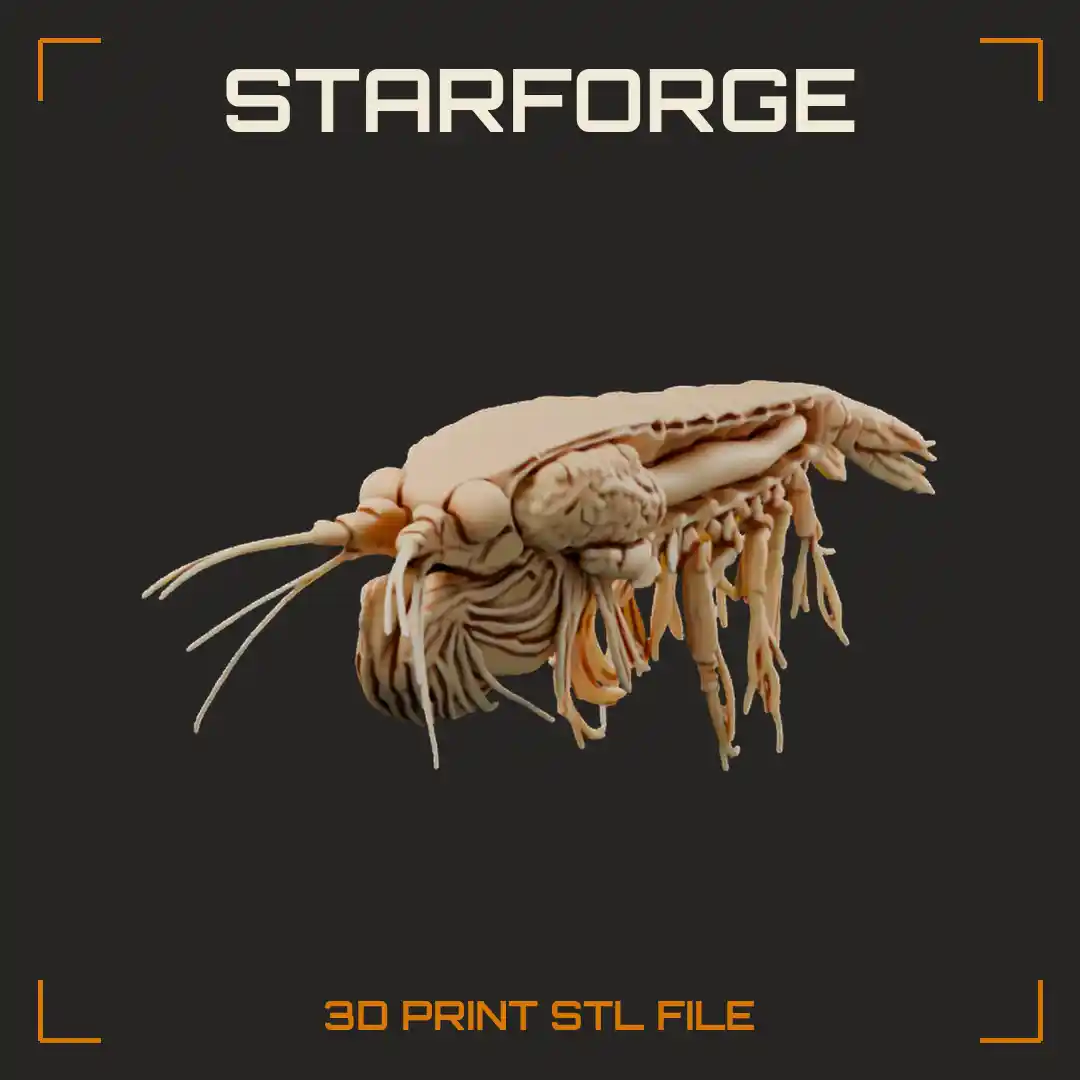 Antarctic Krill Cutaway with Green Digestive Gland Feathery Feeding Basket Legs and Swimming Pleopods