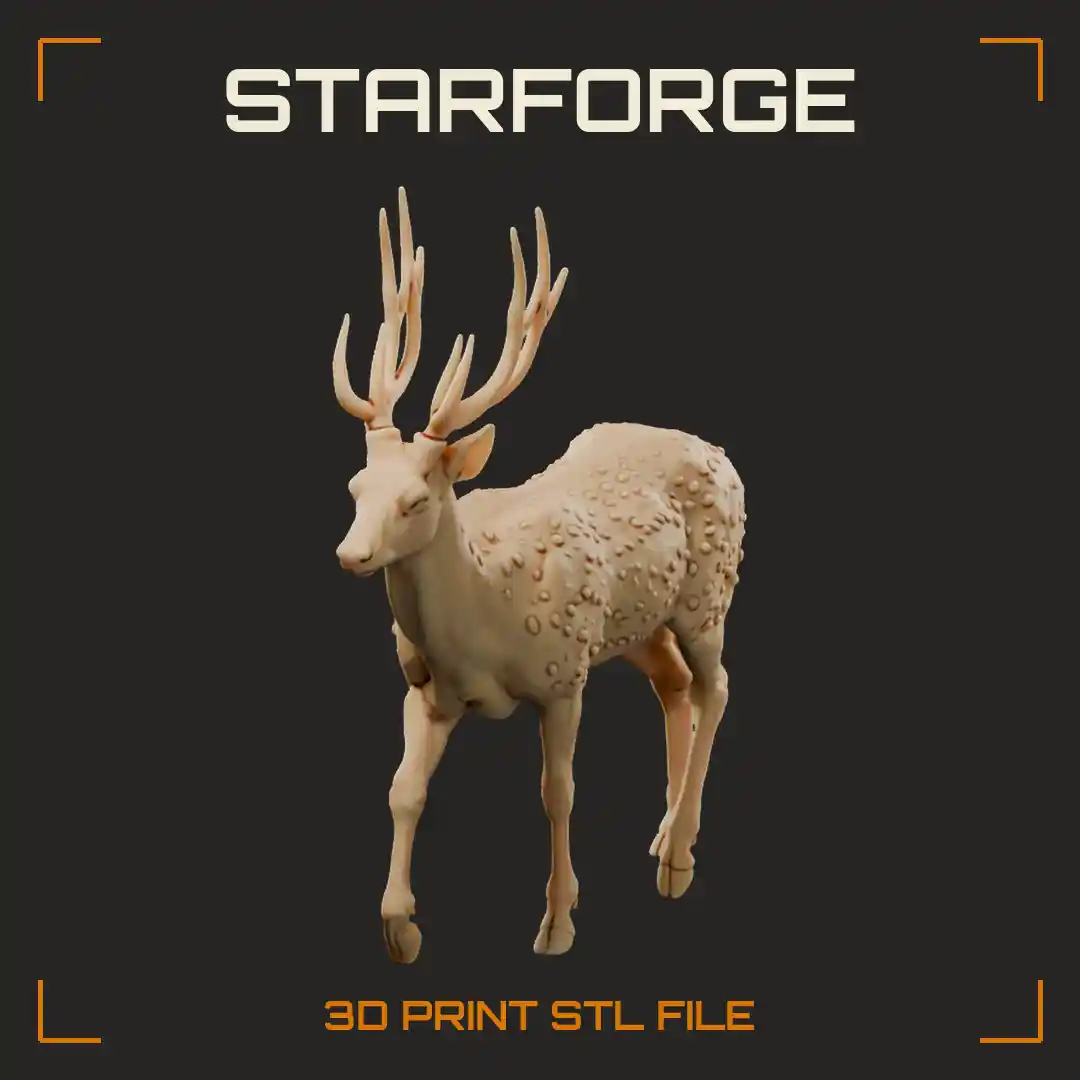 Axis Deer Stag Walking with White Spotted Coat and Long Lyre Antlers