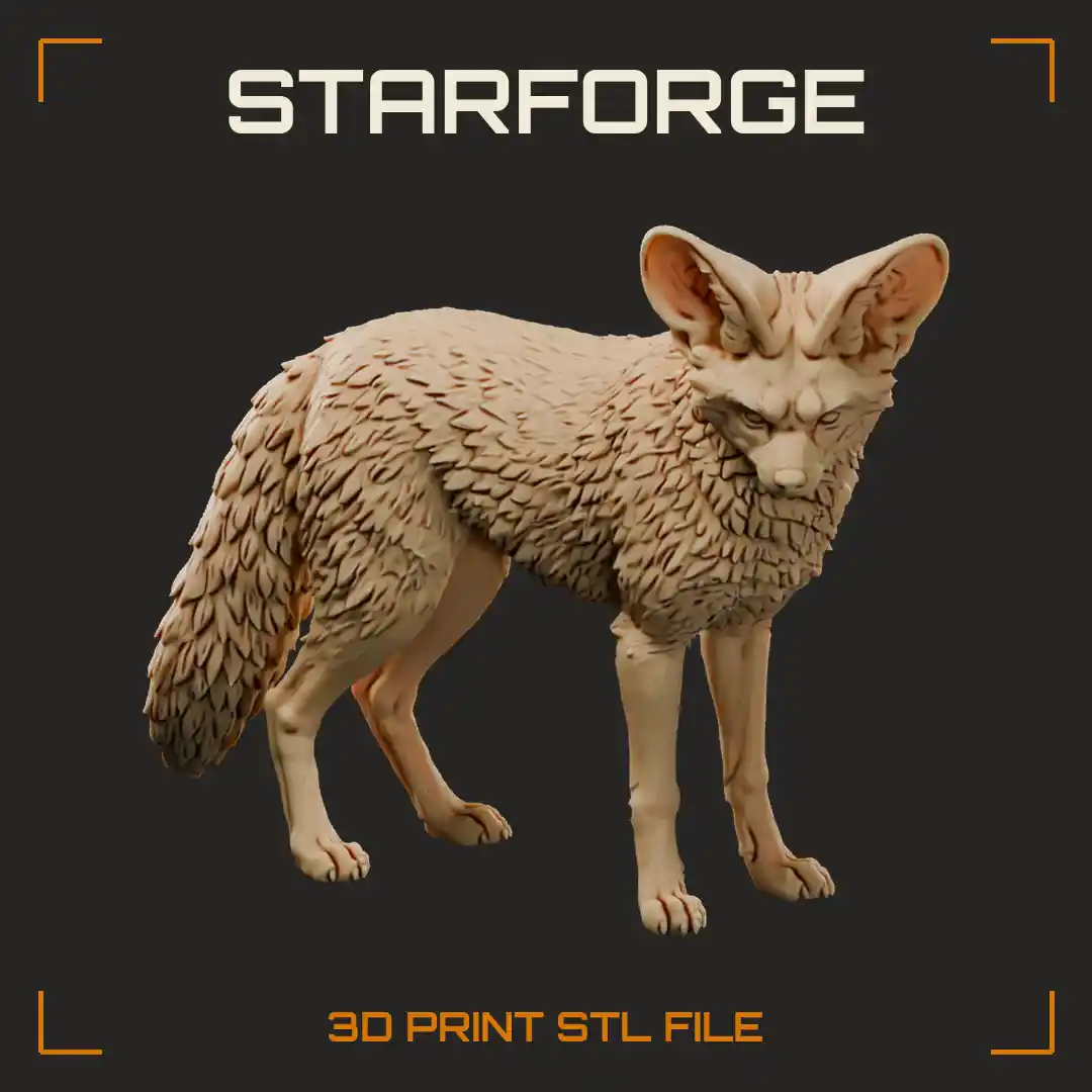 Bat Eared Fox Standing with Huge Rounded Ears Dark Eye Mask and Black Legs