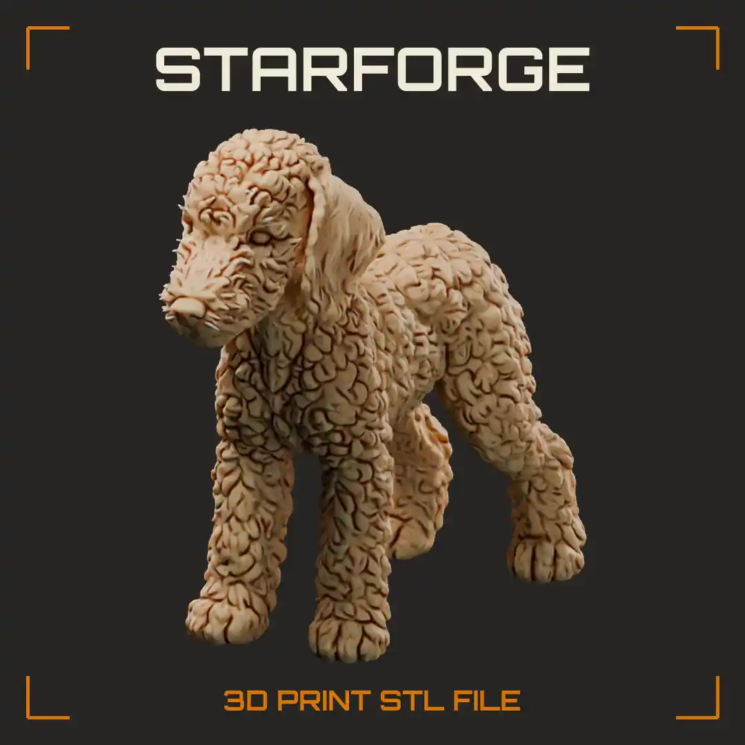 Bedlington Terrier Puppy Standing with Curly Lamb Like Coat Domed Head and Hanging Ears