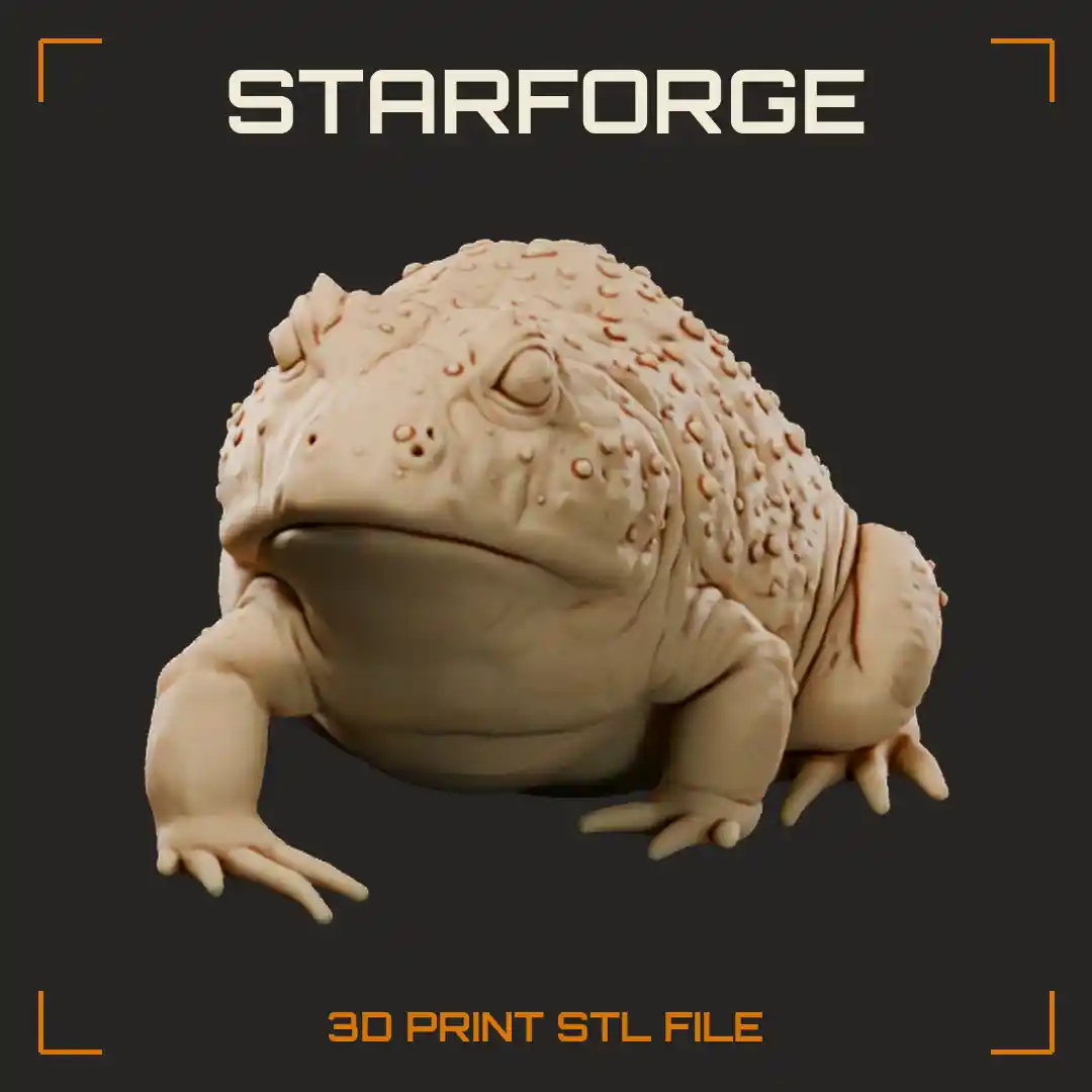 Beelzebufo Giant Cretaceous Frog Sitting with Wide Armored Head Warty Striped Skin and Folded Legs