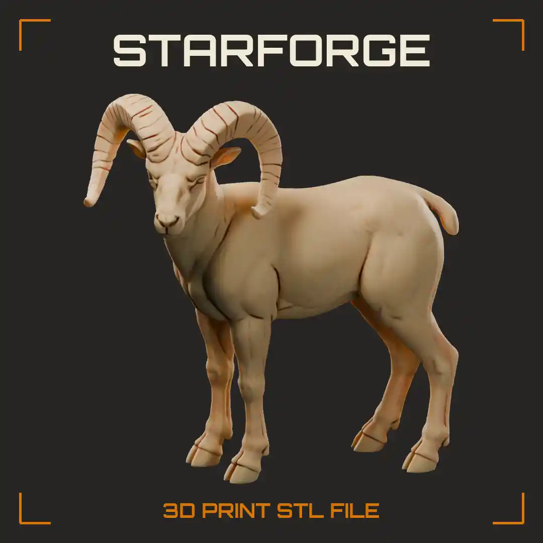 Bighorn Sheep Ram Standing with Massive Curled Horns White Rump and Muzzle
