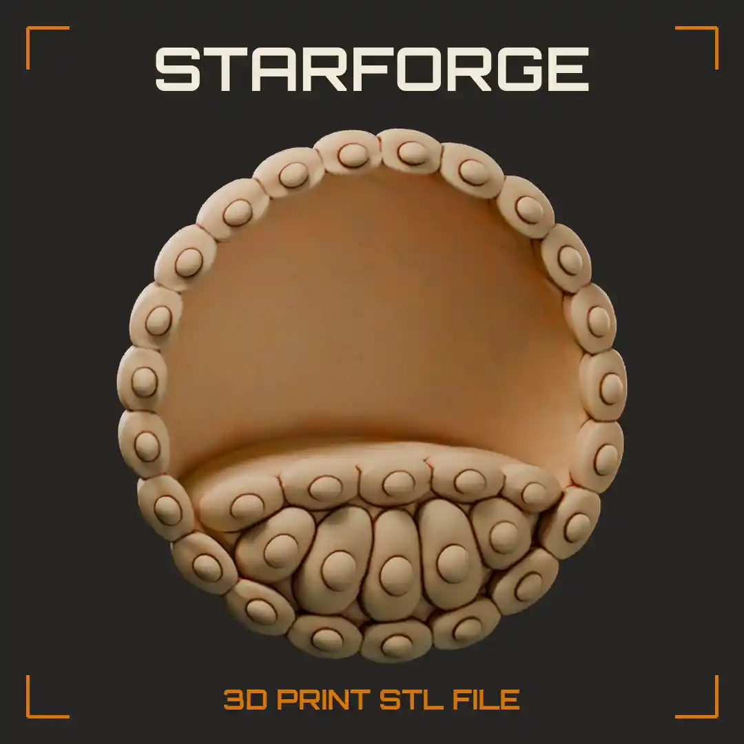 Blastocyst Cross Section with Trophoblast Cell Ring Inner Cell Mass and Fluid Filled Blastocoel - 3D Printable STL File