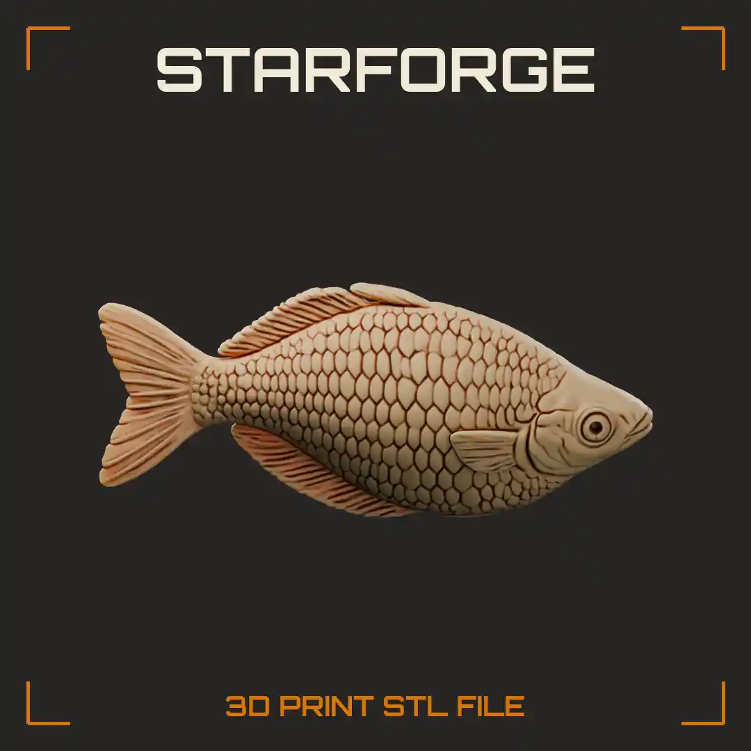 Boesemani Rainbowfish Side View With Deep Arched Body Split Dorsal Fins And Forked Tail