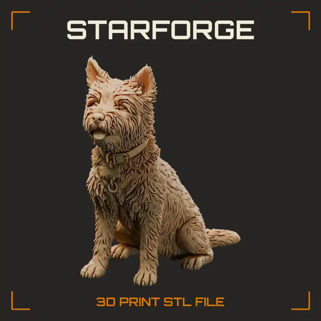 Brindle Cairn Terrier Sitting with Shaggy Weatherproof Coat Pricked Ears and Short Muzzle