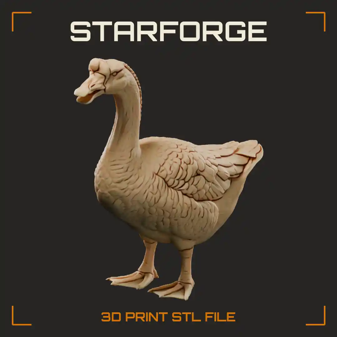 Brown Chinese Goose Standing with Black Bill Knob Long Upright Neck and Webbed Feet