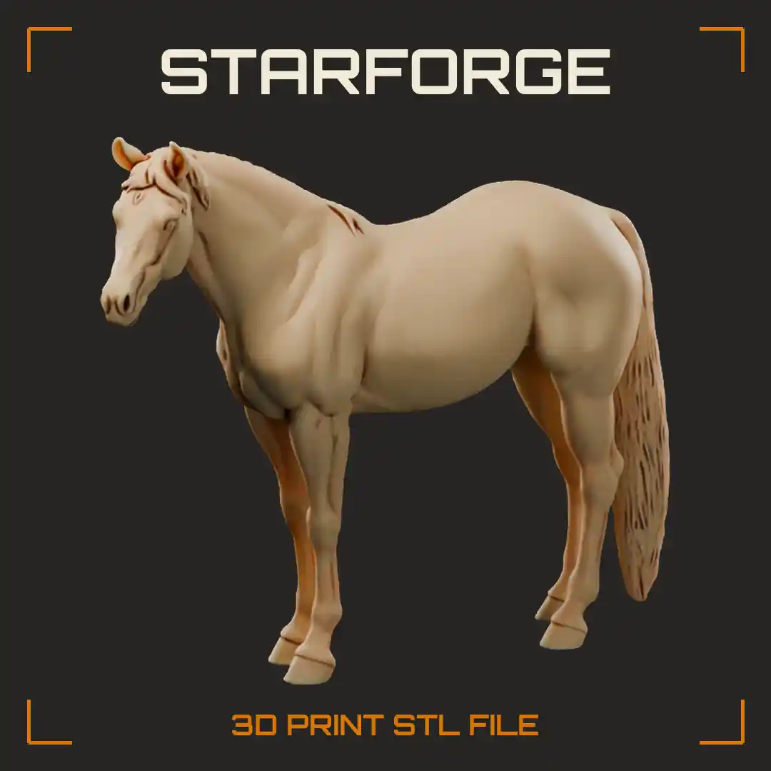 Buckskin Quarter Horse Standing with Muscular Hindquarters Halter Black Legs Mane and Tail