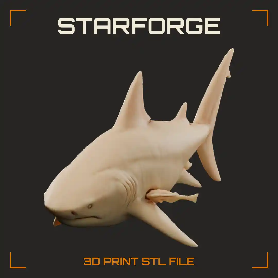 Bull Shark Swimming with Stocky Body Short Blunt Snout and Broad Pectoral Fins
