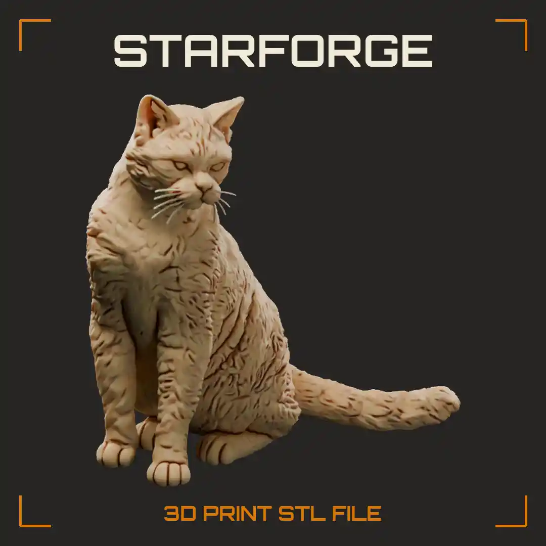 Calico American Wirehair Cat Sitting with Crimped Coat Patched Markings and Long Banded Tail
