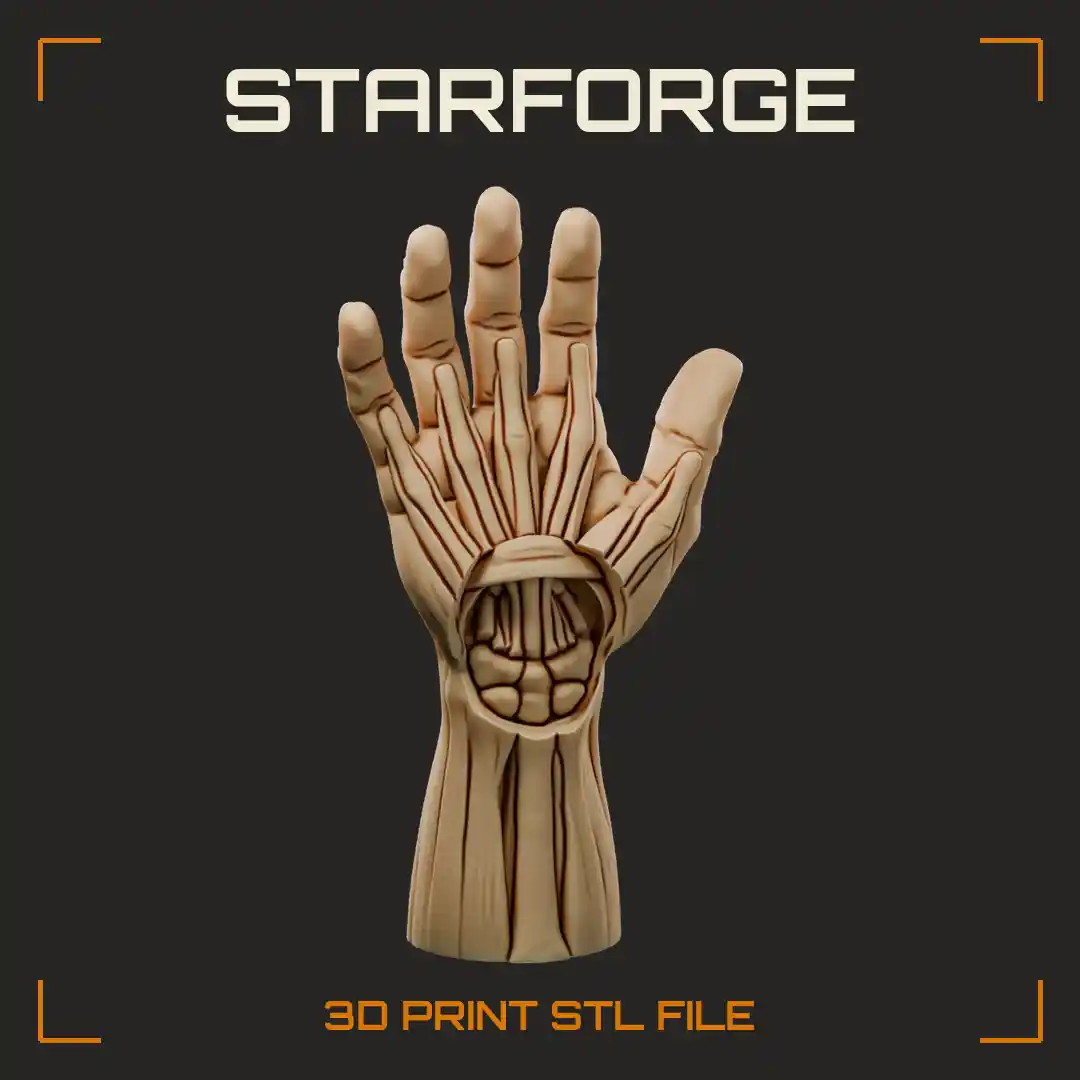 Carpal Tunnel Wrist Cutaway with Flexor Tendons Transverse Carpal Ligament and Carpal Bones - 3D Printable STL File