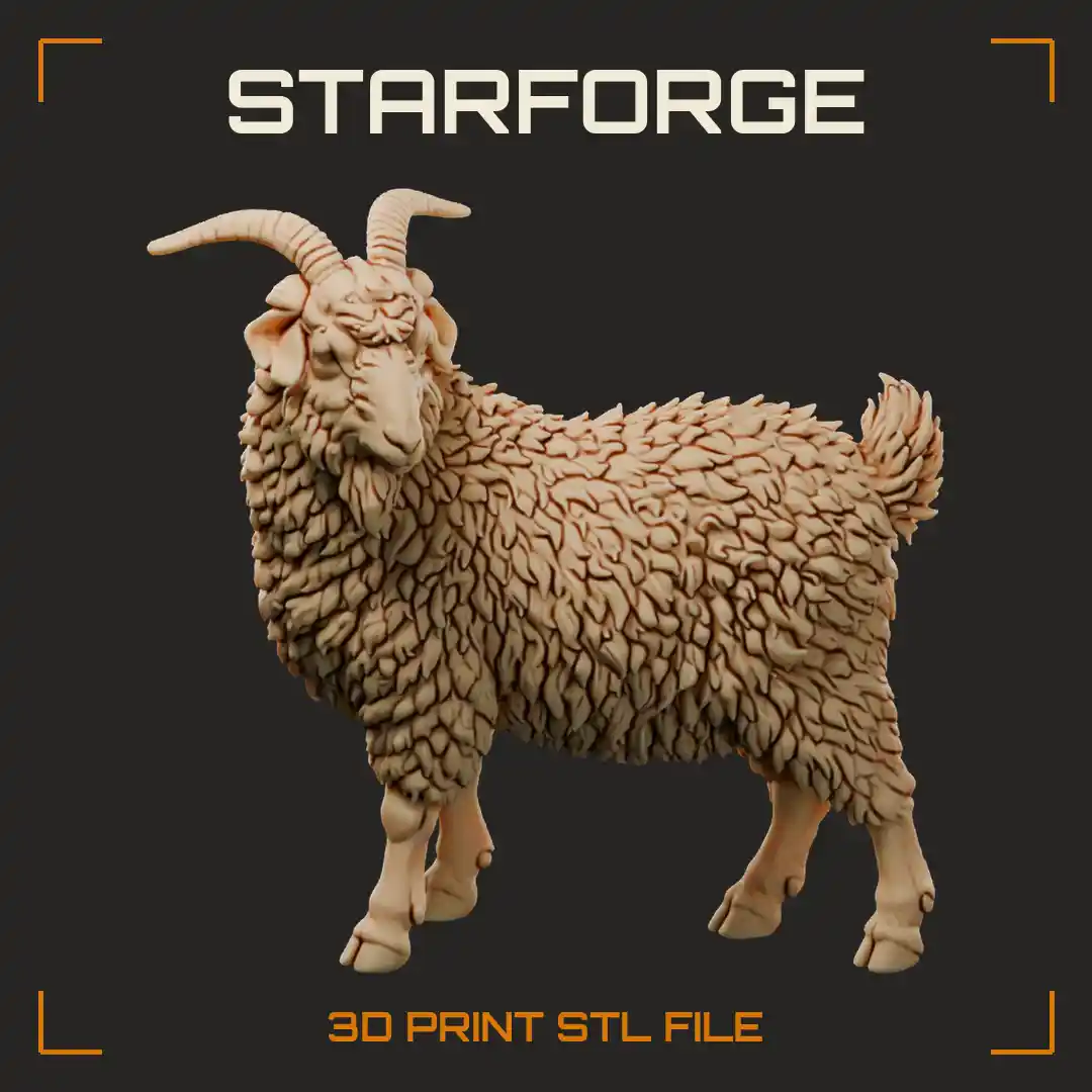 Cashmere Goat Standing with Dense Fluffy Fleece Black Face Twisted Horns and Short Tail
