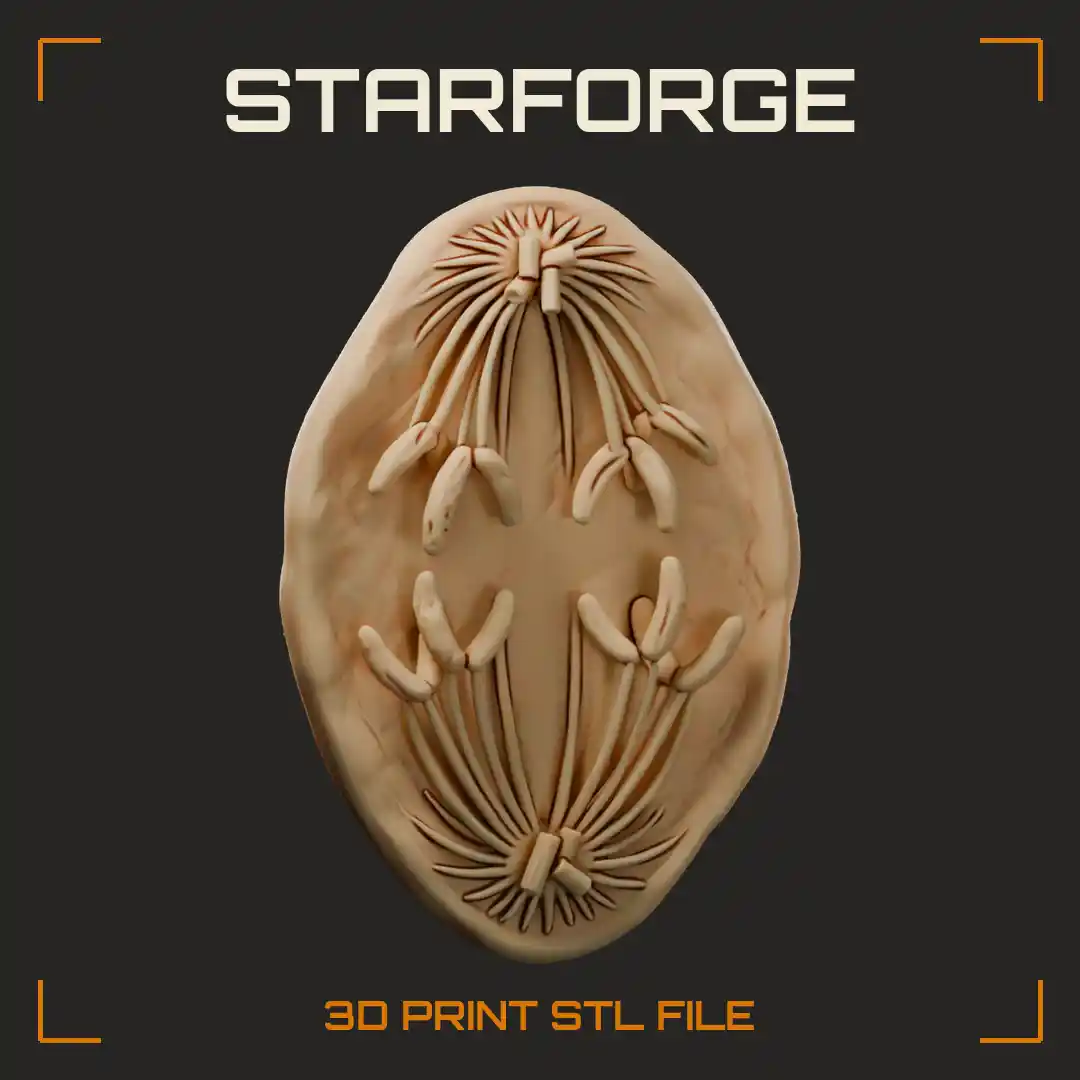 Cell in Anaphase of Mitosis with Separating Chromatids Spindle Fibers and Centrosome Poles - 3D Printable STL File