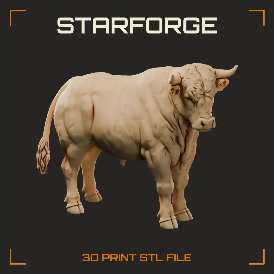 Charolais Bull Facing Forward with Curved Horns Massive Muscled Chest and Curly Forelock