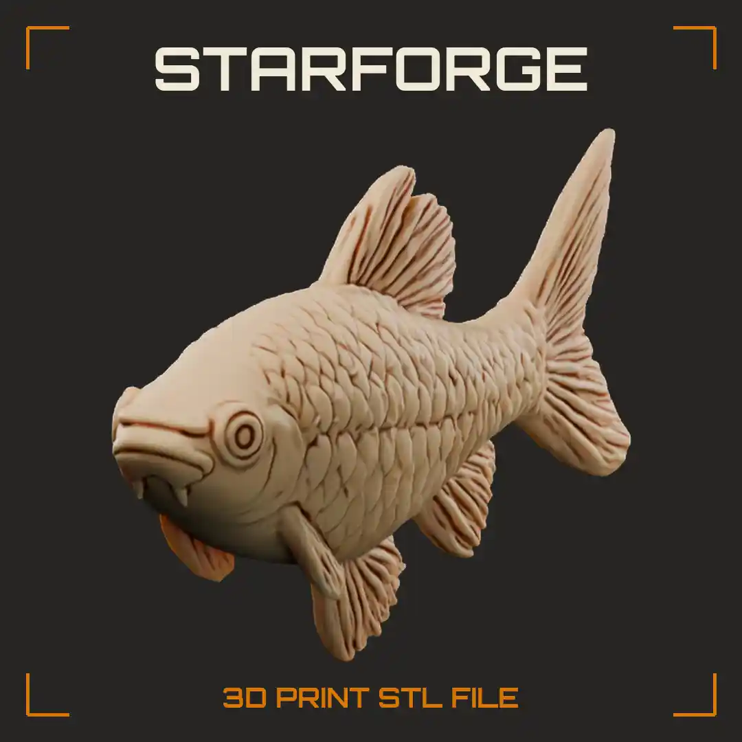 Cherry Barb Fish Swimming With Torpedo Body Large Scales Forked Tail And Rounded Fins