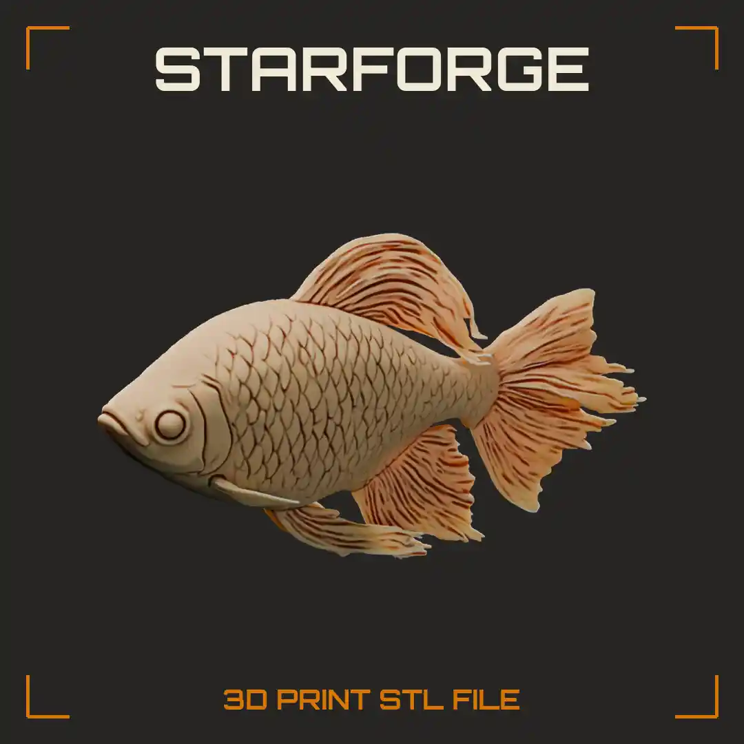 Congo Tetra With Large Iridescent Scales Long Flowing Fringed Tail And Trailing Dorsal Fin