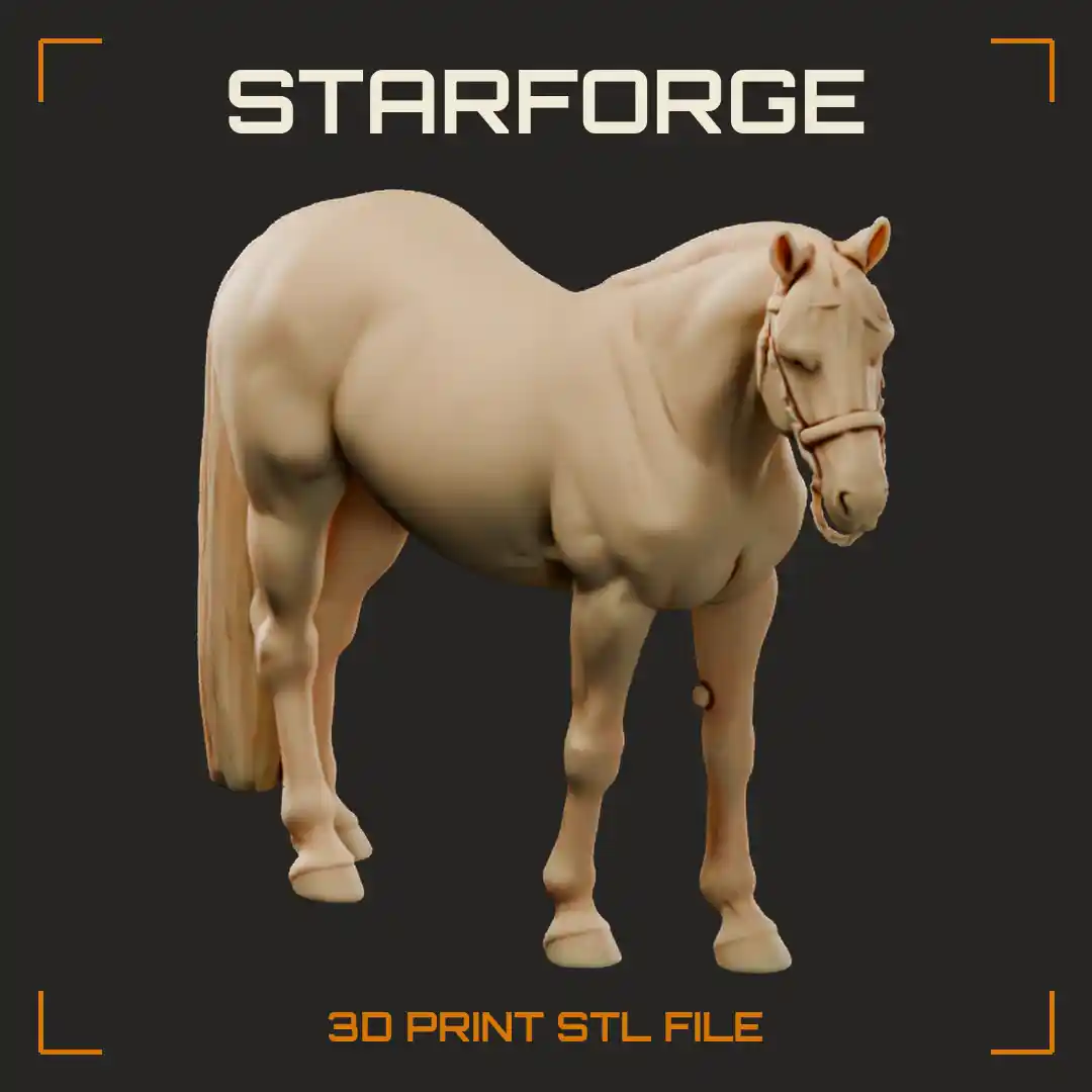 Connemara Pony Standing in Profile with Deep Body Short Back Thick Neck and Long Tail