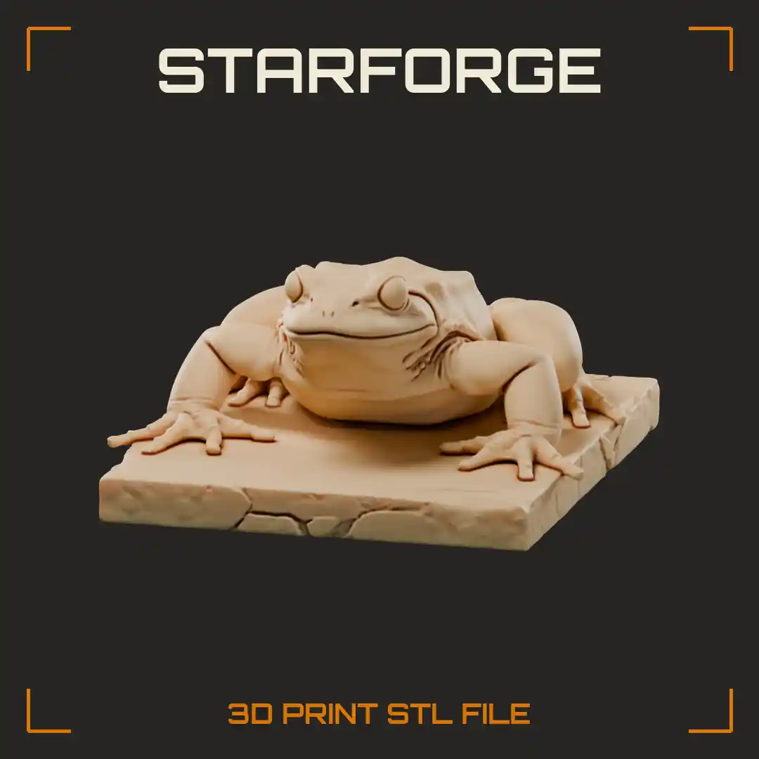 Crouching Ravine Bullfrog with Bumpy Warty Back on Cracked Stone Slab Base