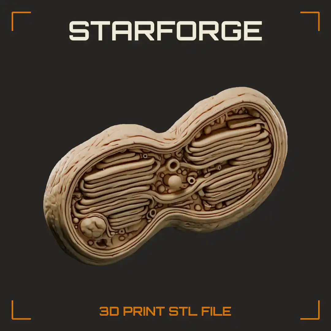 Cyanobacteria Cell Cutaway with Concentric Thylakoid Membranes Carboxysomes and Dividing Cell Wall - 3D Printable STL File