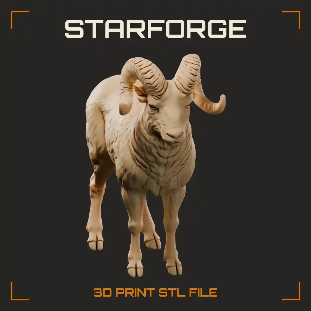 Dall Sheep Ram Standing with White Coat and Wide Flaring Curled Amber Horns