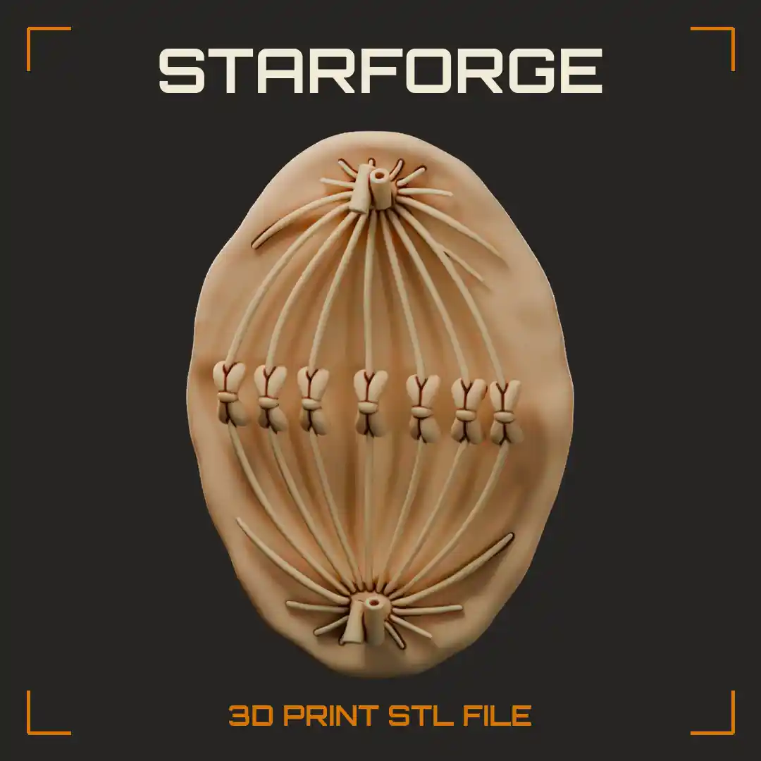 Dividing Cell in Metaphase with Centrosome Poles Spindle Fibers and Aligned Chromosomes - 3D Printable STL File