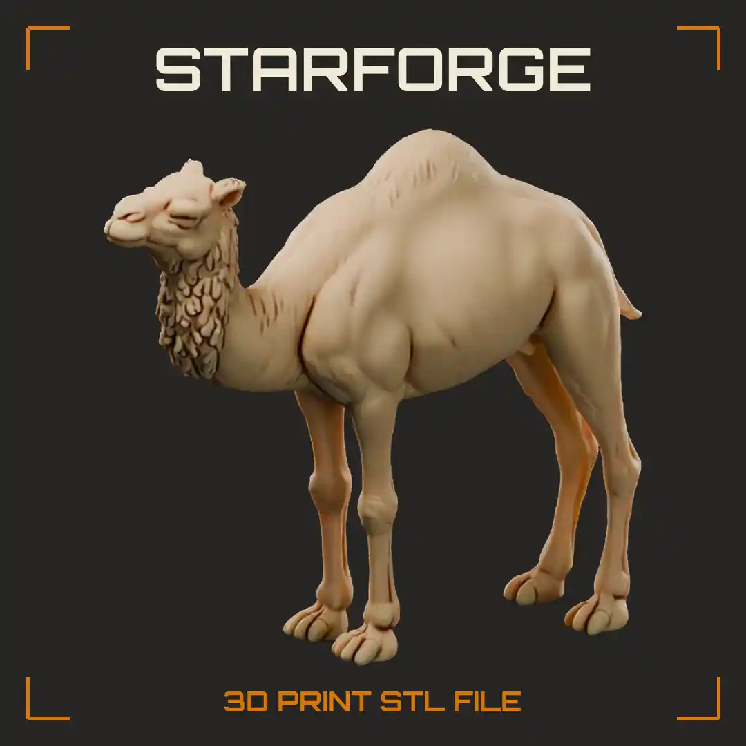 Dromedary Camel Standing in Profile with Single Hump Long Curved Neck and Padded Feet