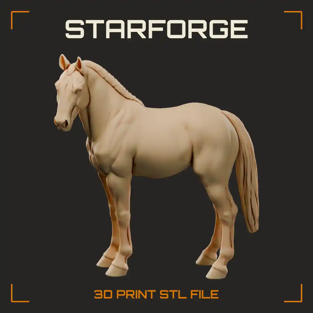 Dutch Warmblood Horse Standing Three Quarter View with Head Turned Muscled Shoulder and Tail
