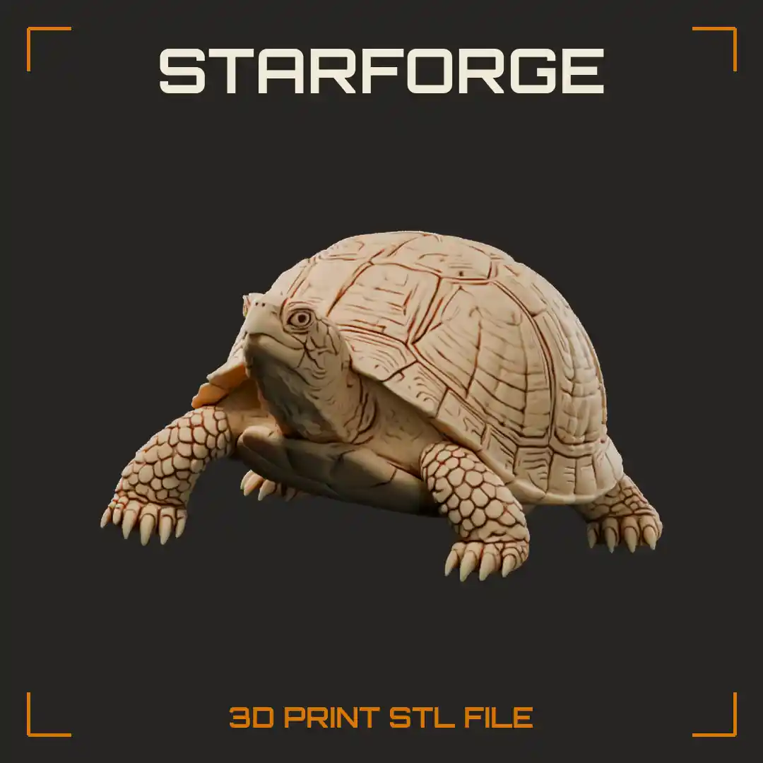Eastern Box Turtle With High Domed Patterned Shell Hooked Beak And Stout Clawed Legs
