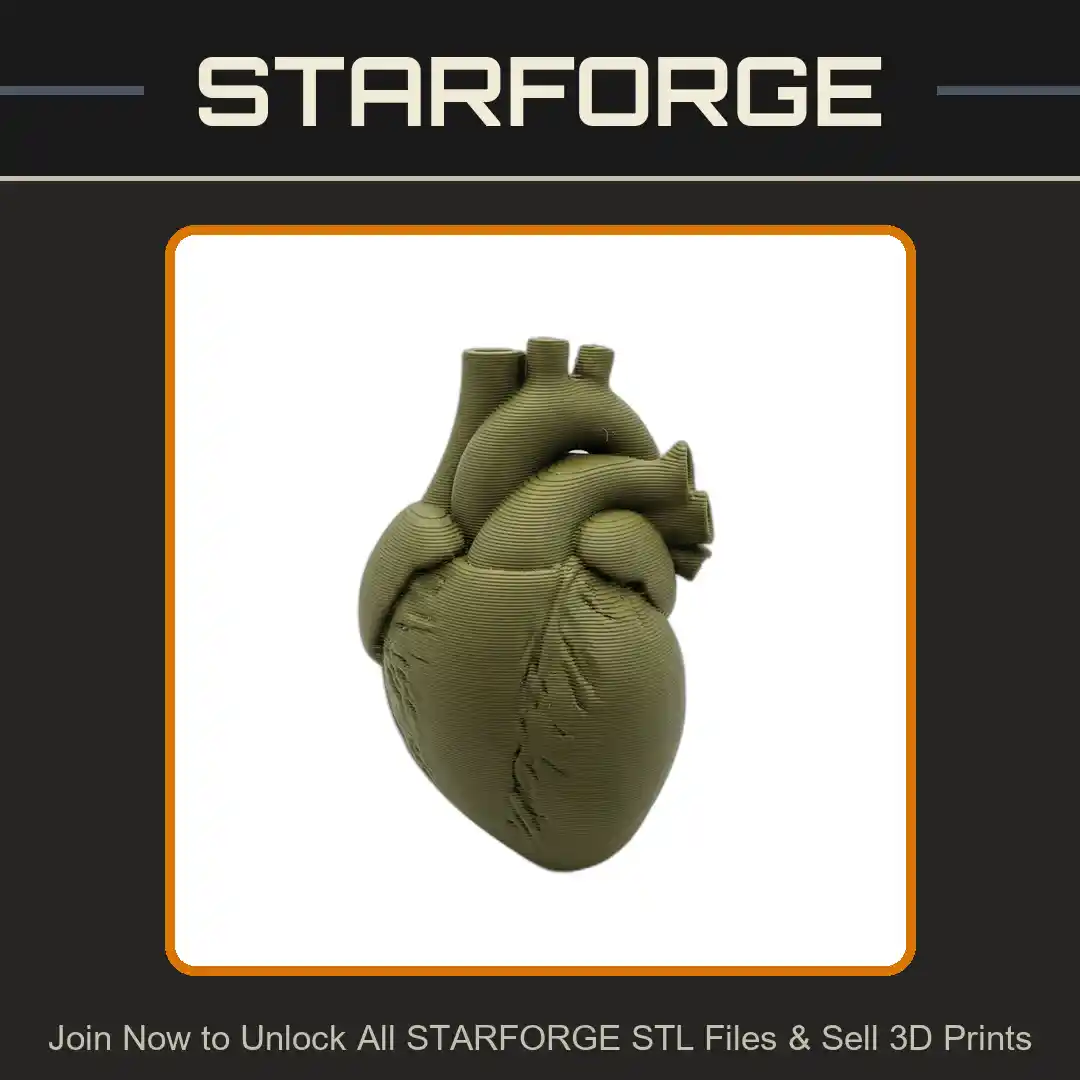 Education Model Human Heart Anatomical Structure for Medical Study - 3D Printable STL File