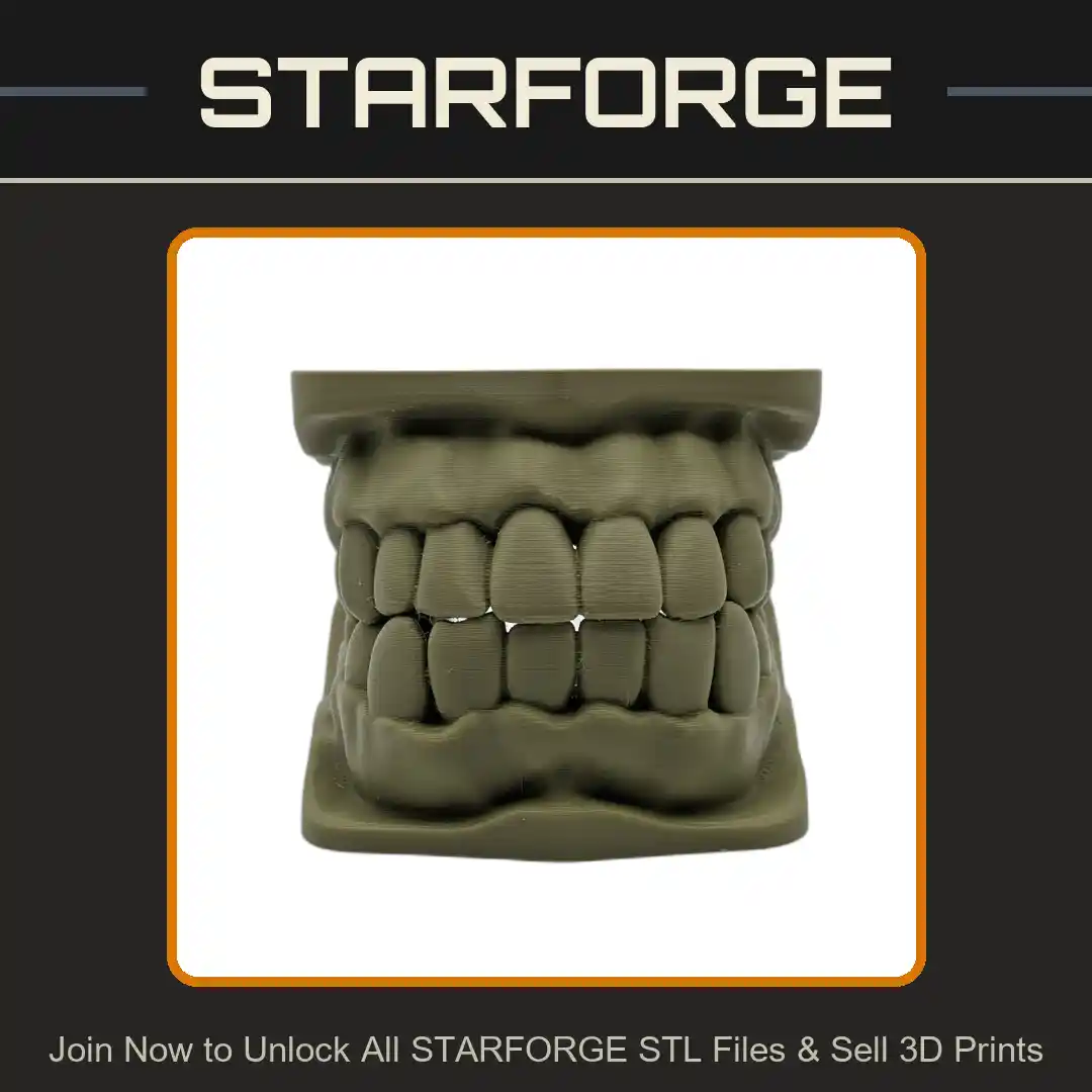 Education Model Human Teeth and Gums Anatomy for Dental Studies - 3D Printable STL File