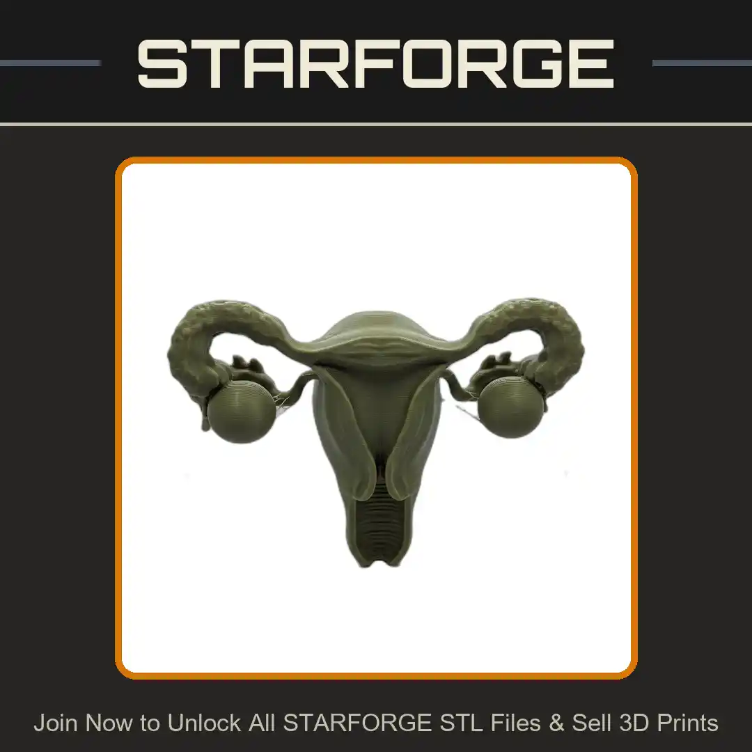 Educational Model of Human Uterus with Ovaries and Fallopian Tubes - 3D Printable STL File