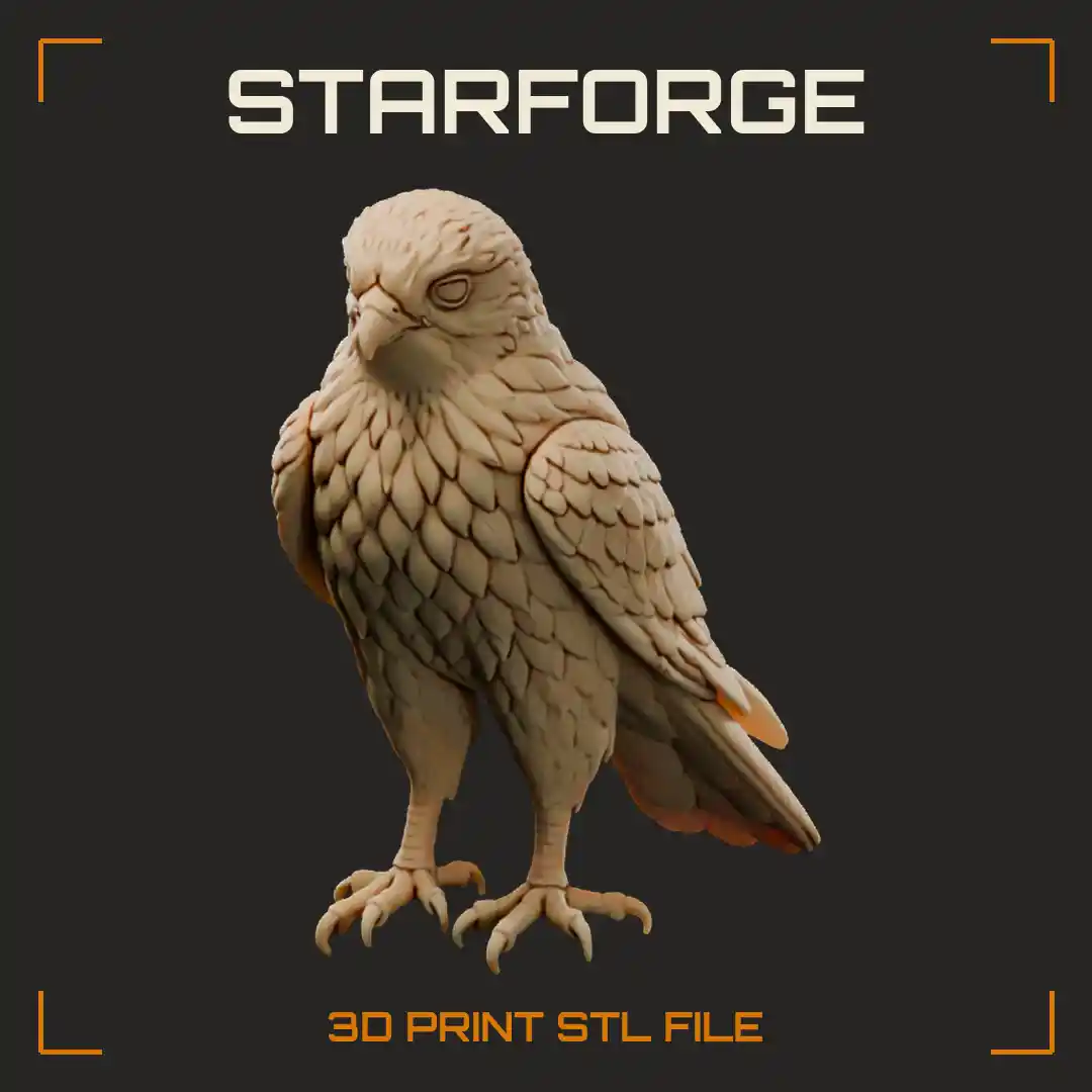 Female Common Kestrel Head Bust with Large Dark Eye Yellow Eye Ring and Streaked Breast
