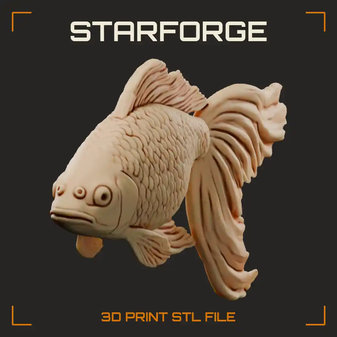 Fringetail Fancy Goldfish Swimming With Long Flowing Veil Tail Scaled Body And Dorsal Fin