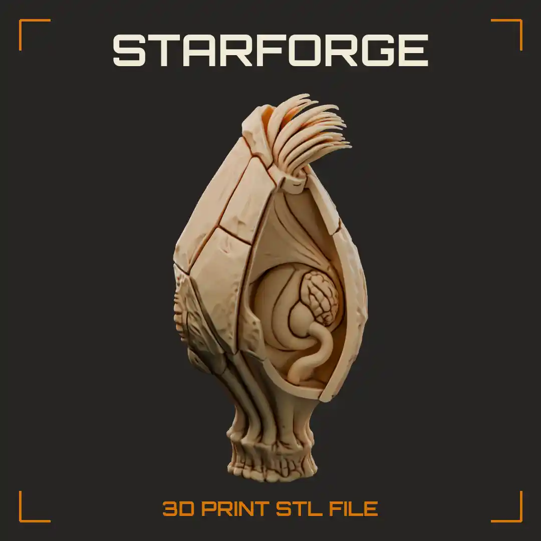 Gooseneck Barnacle Anatomy Cutaway with Shell Plates Feeding Cirri Adductor Muscle and Stalk - 3D Printable STL File