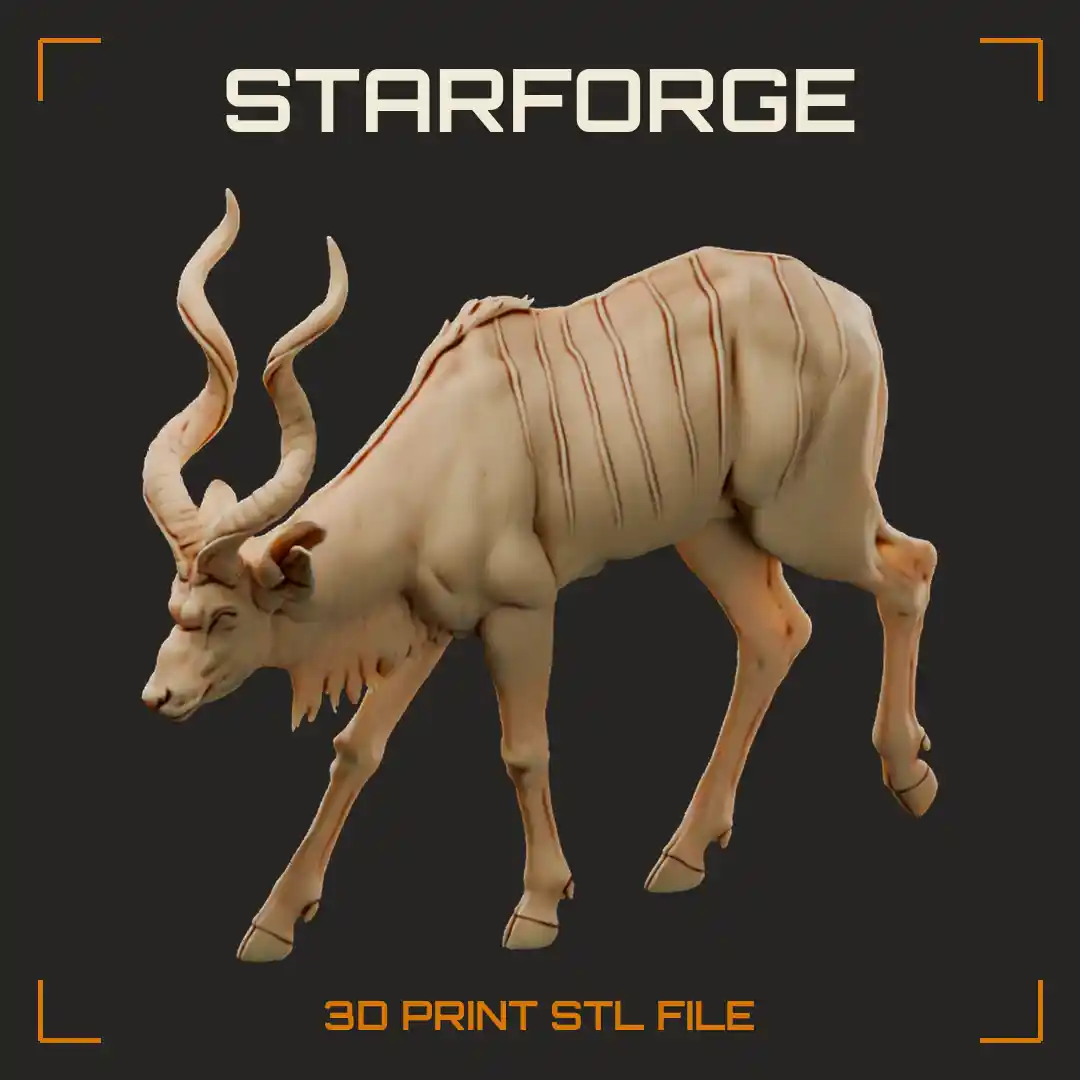 Greater Kudu Bull Walking with Long Spiral Horns White Body Stripes and Throat Fringe