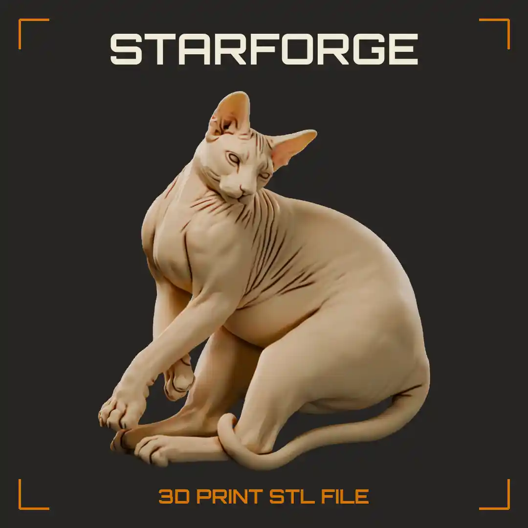 Hairless Donskoy Cat Lying with Wrinkled Skin Large Ears Long Legs and Thin Tail