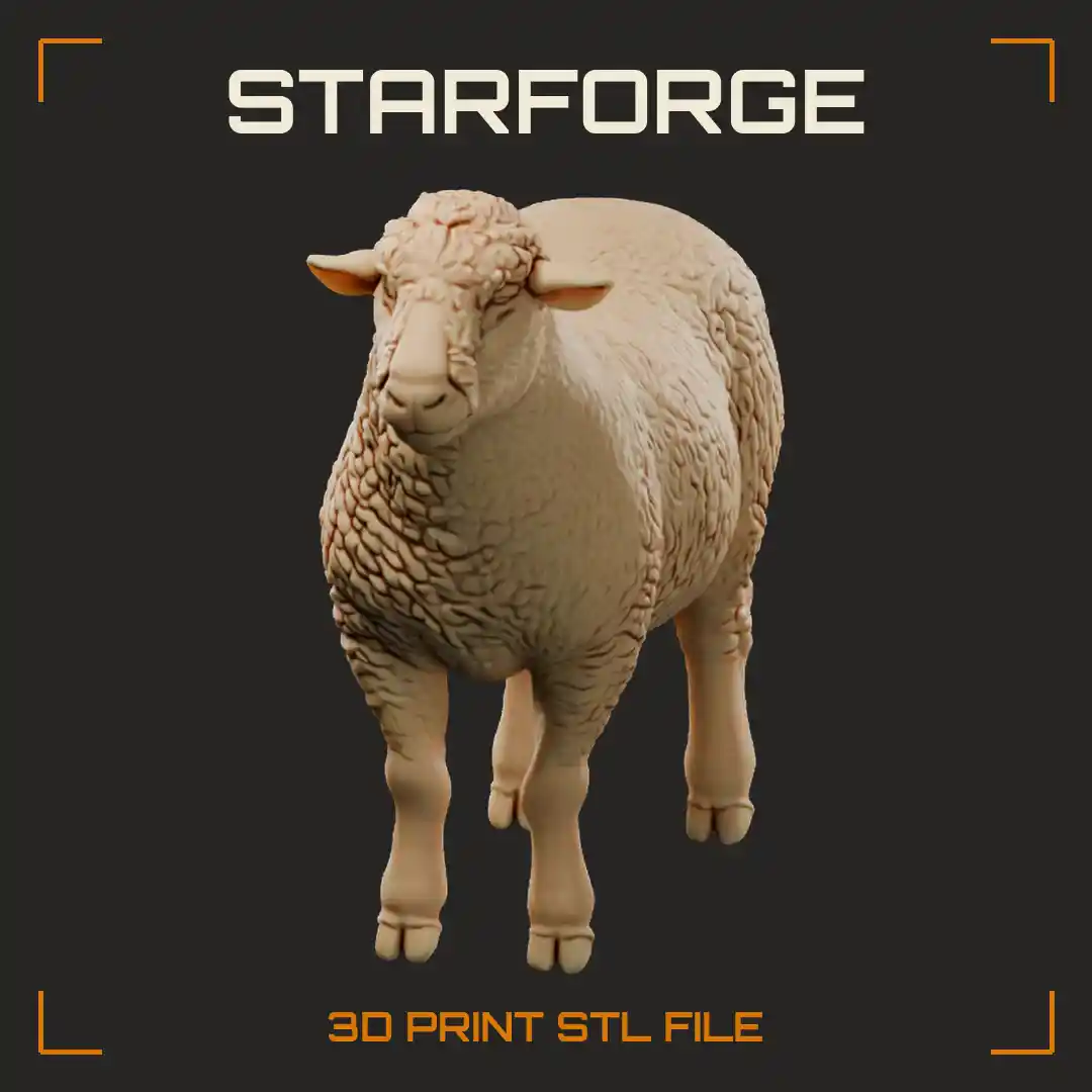 Hampshire Sheep Standing with Dark Woolly Face Short Ears Blocky Fleece Body and Legs