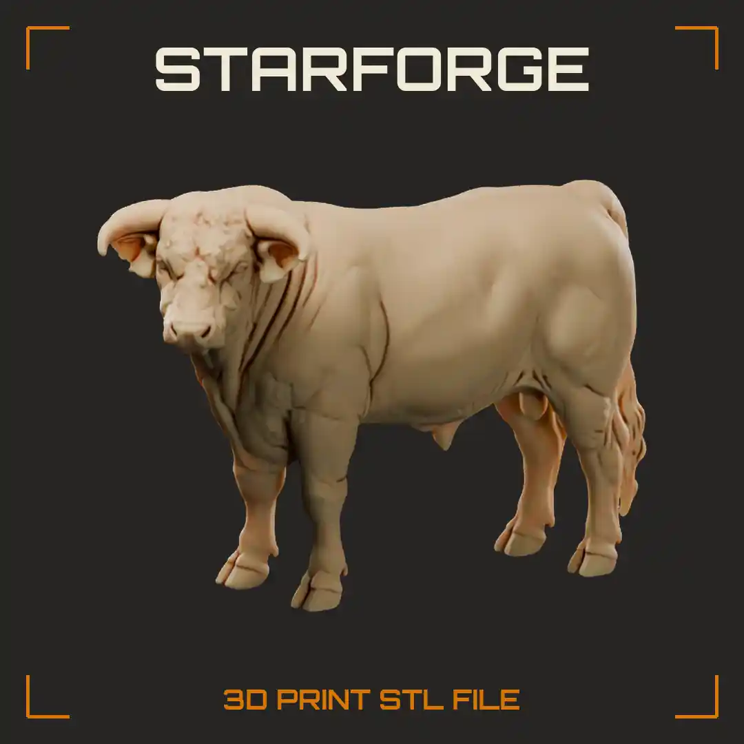Hereford Bull Standing with White Face Curved Horns Muscular Body and Tufted Tail