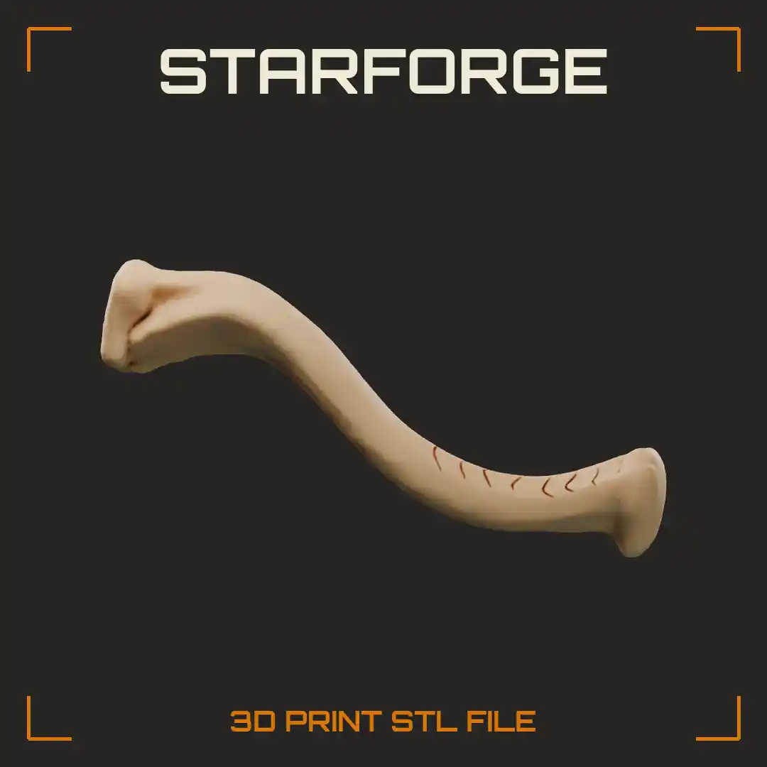 Human Clavicle Bone with S-Shaped Shaft Sternal End and Acromial End - 3D Printable STL File