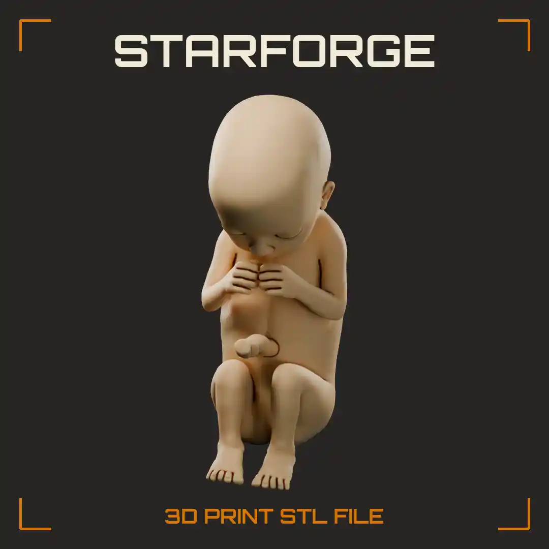 Human Fetus at Twelve Weeks with Umbilical Cord Curled Limbs and Developing Face - 3D Printable STL File