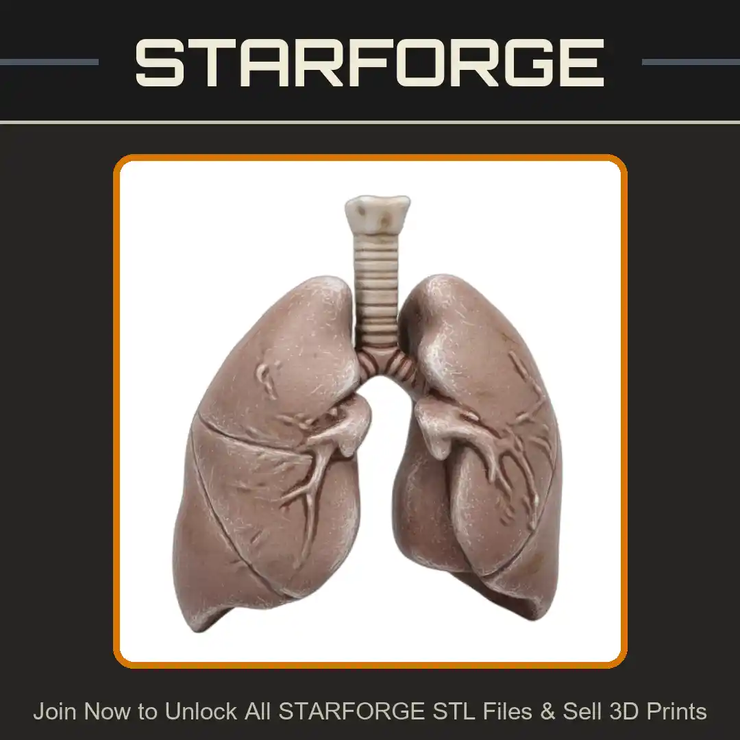 Human Respiratory System Lungs Model for Classroom Use - 3D Printable STL File