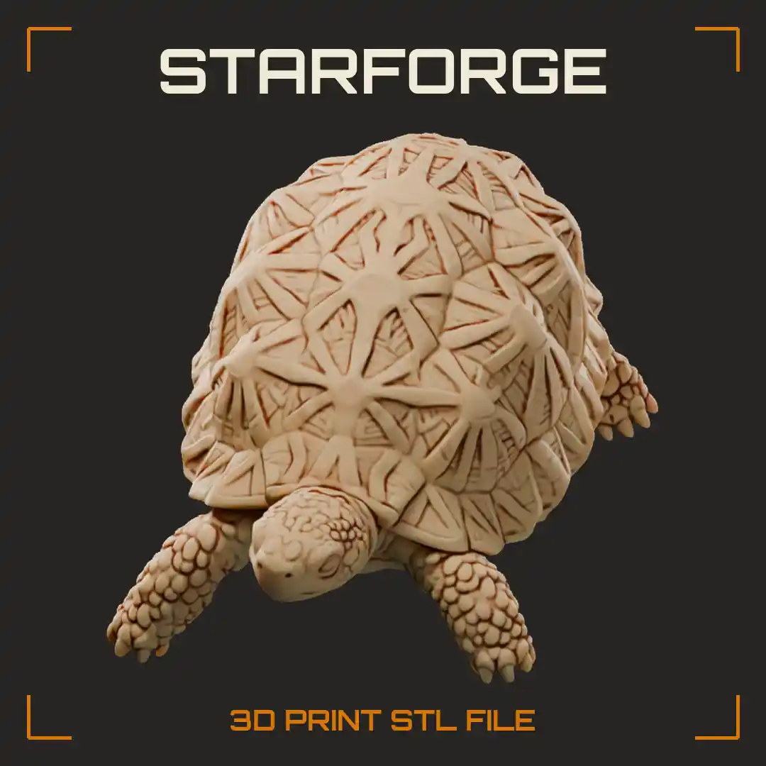 Indian Star Tortoise Walking With Raised Star Pattern Knobby Scutes And Short Legs
