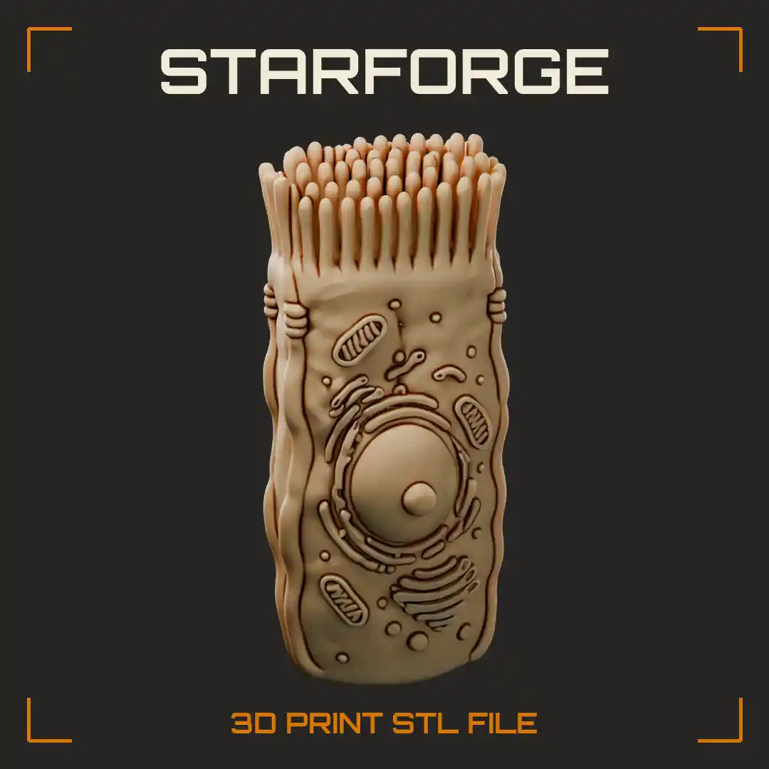 Intestinal Enterocyte with Microvilli Brush Border Tight Junctions Nucleus Mitochondria and Golgi - 3D Printable STL File