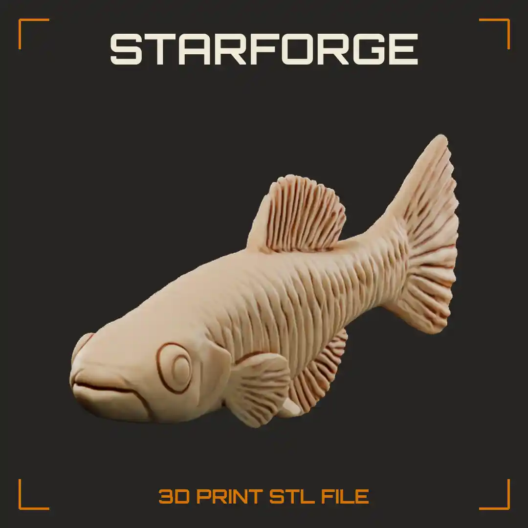 Killifish Side View With Slender Banded Body Rounded Dorsal Fin And Fan Shaped Tail