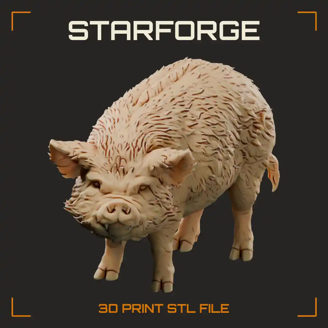 Kunekune Pig Standing with Short Upturned Snout Hairy Coat Pricked Ears and Round Body